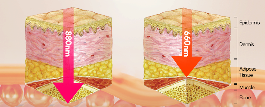 Exploring the Benefits and Effects of Near-Infrared Light (NIR)
